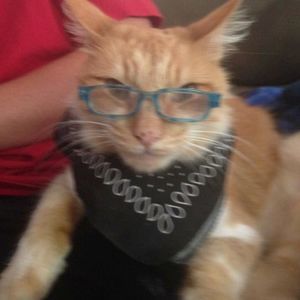 Meet your Posher, Anna